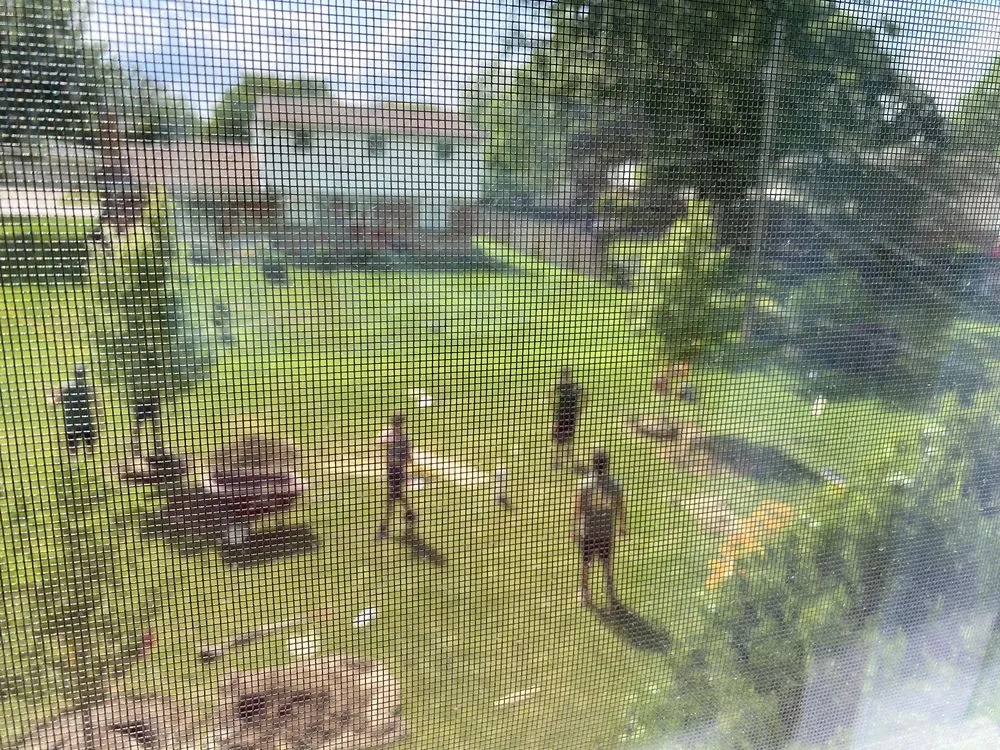 Local yard cleanup service experts serving Farmington Hills, MI - Steinkopf Nursery