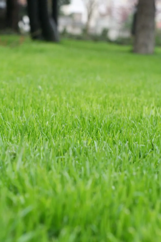Top-rated garden landscaping for beautiful yards across Caledonia, MI - Steketee Turf Service, Inc.