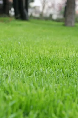 Steketee Turf Service, Inc.