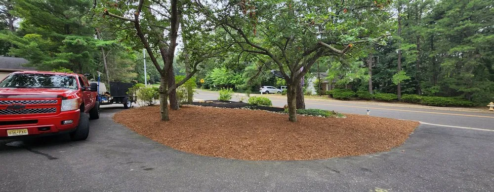 Expert yard cleanup service in Cherry Hill, NJ by Stella Contracting