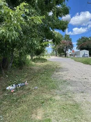 Stella Landscape Designs Logo