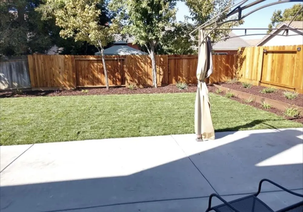 Professional landscape design in Hollister, CA by Stellar Landscaping