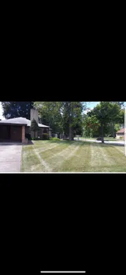 Stellar Lawn and Snow Logo