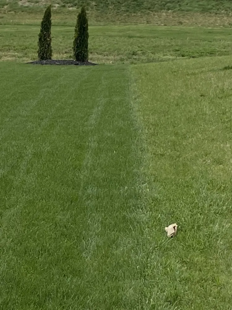 Professional outdoor landscaping experts serving Evansville, IN - Stellar Lawn Care