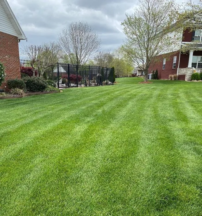 Affordable yard cleanup service for homes across Evansville, IN - Stellar Lawn Care