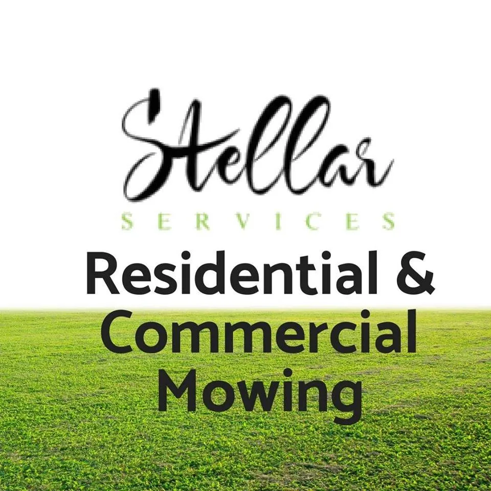 Professional yard cleanup service in Humble, TX by Stellar Lawn Services