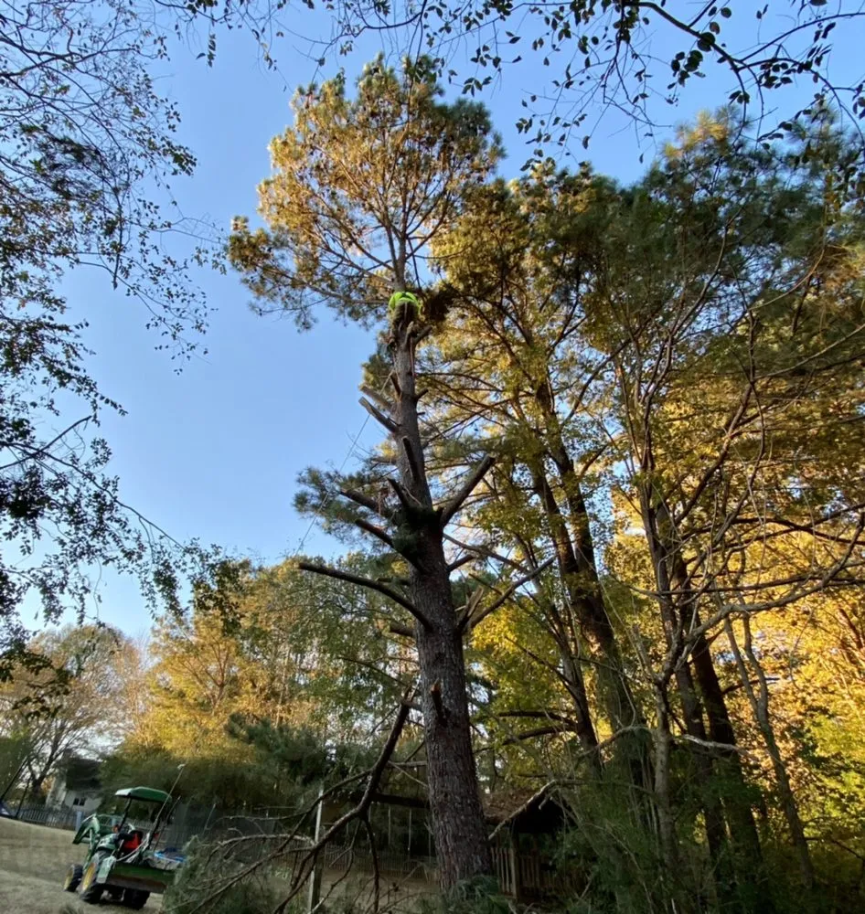 Top-rated yard cleanup service for residential properties across Hogansville, GA - Stellar Tractor Works