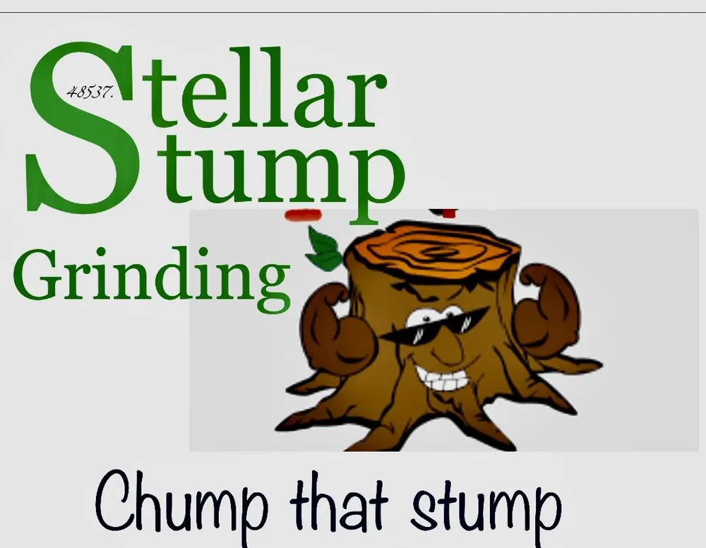 Local yard cleanup service for residential properties across Hogansville, GA - Stellar Tractor Works