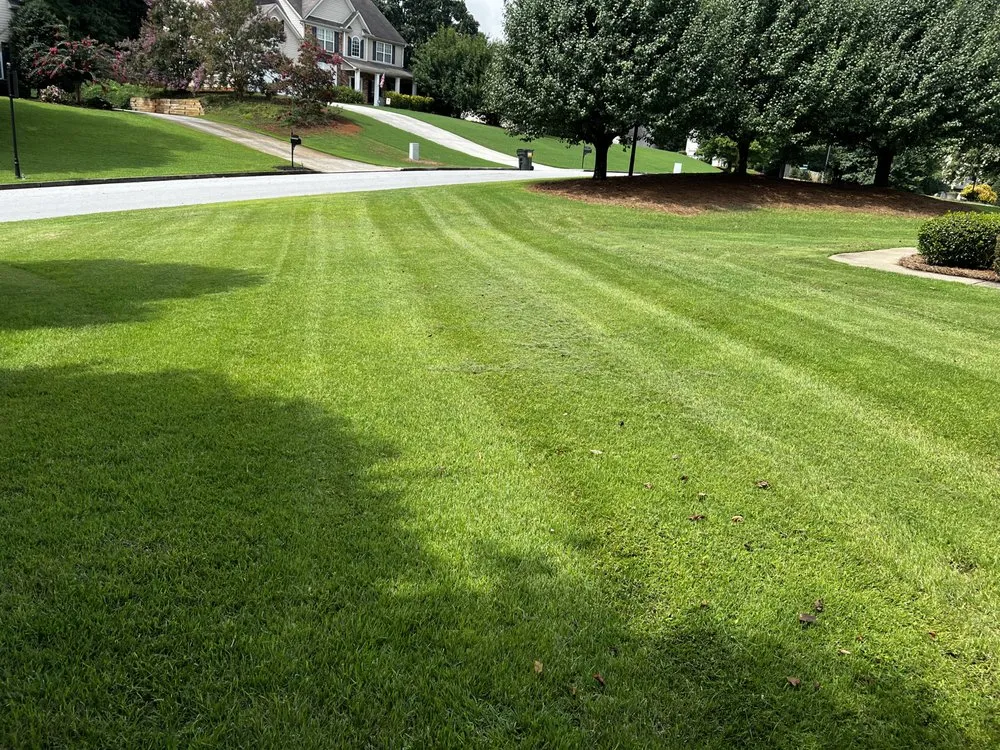 Professional landscaping services for year-round maintenance across Dallas, GA - Stellar Yard Life