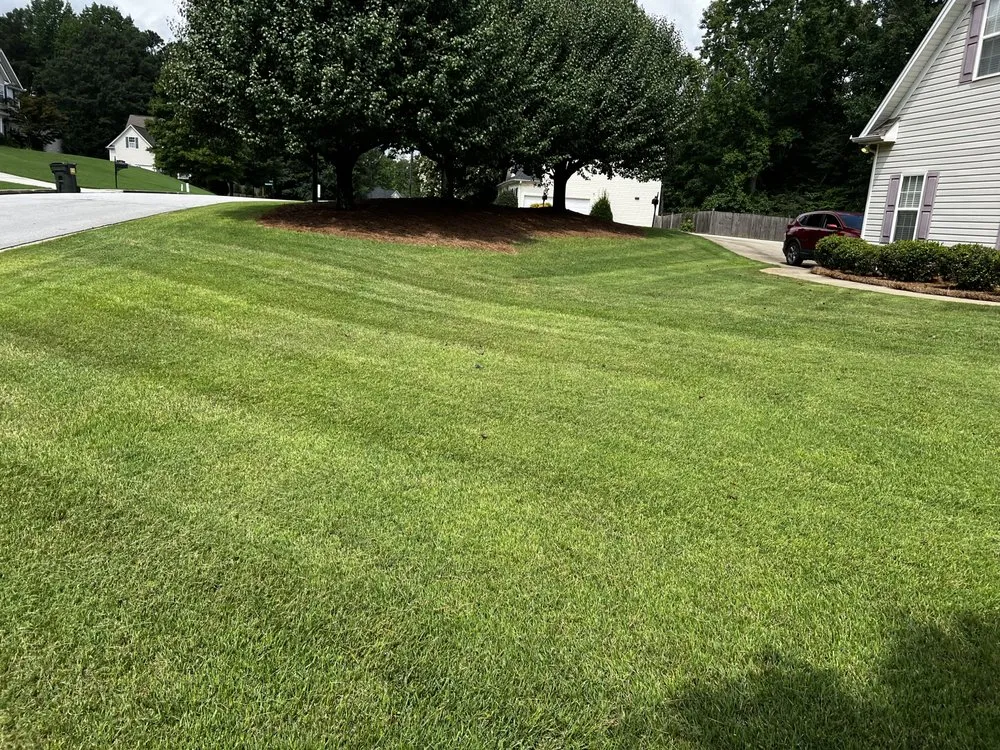 Professional yard cleanup service for beautiful yards across Dallas, GA - Stellar Yard Life