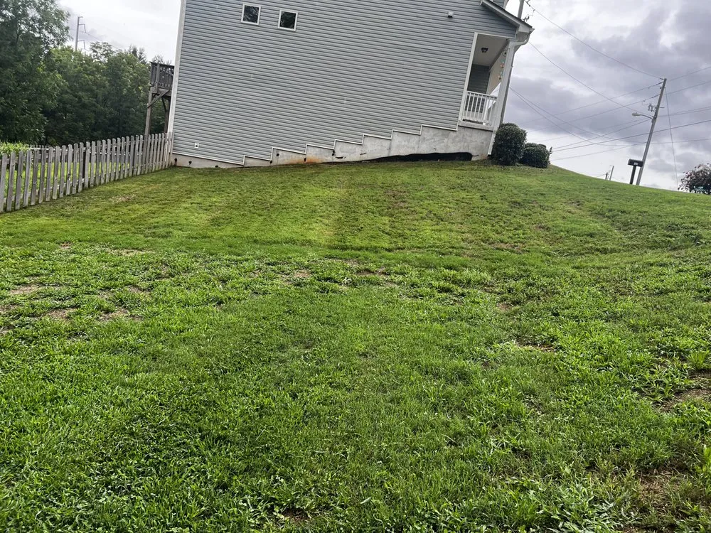 Professional lawn mowing service in Dallas, GA by Stellar Yard Life