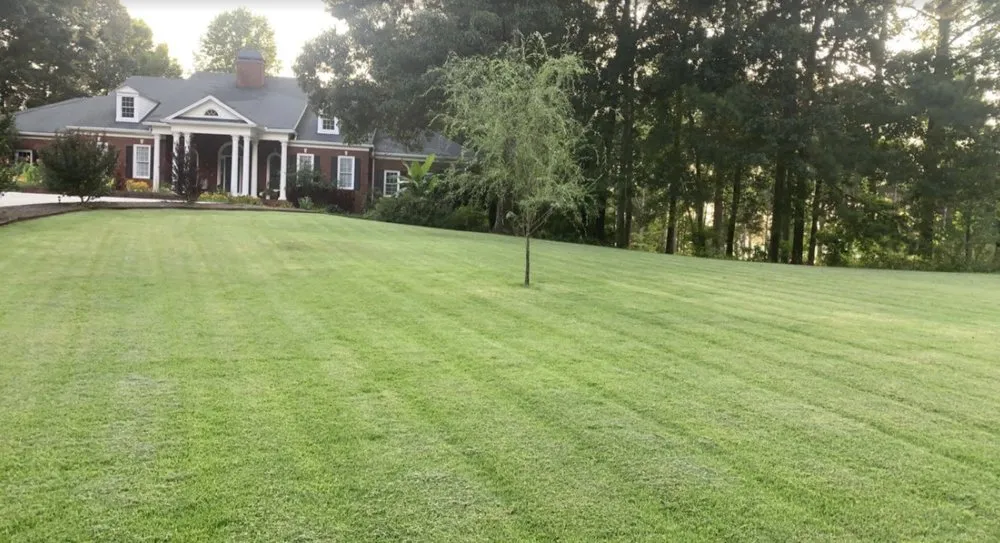 Professional yard maintenance in Dallas, GA by Stellar Yard Life