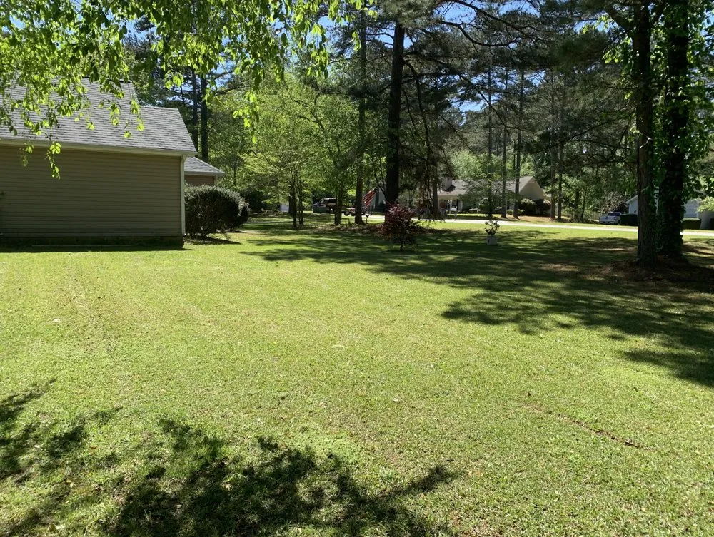 Expert lawn mowing service experts serving Dallas, GA - Stellar Yard Life
