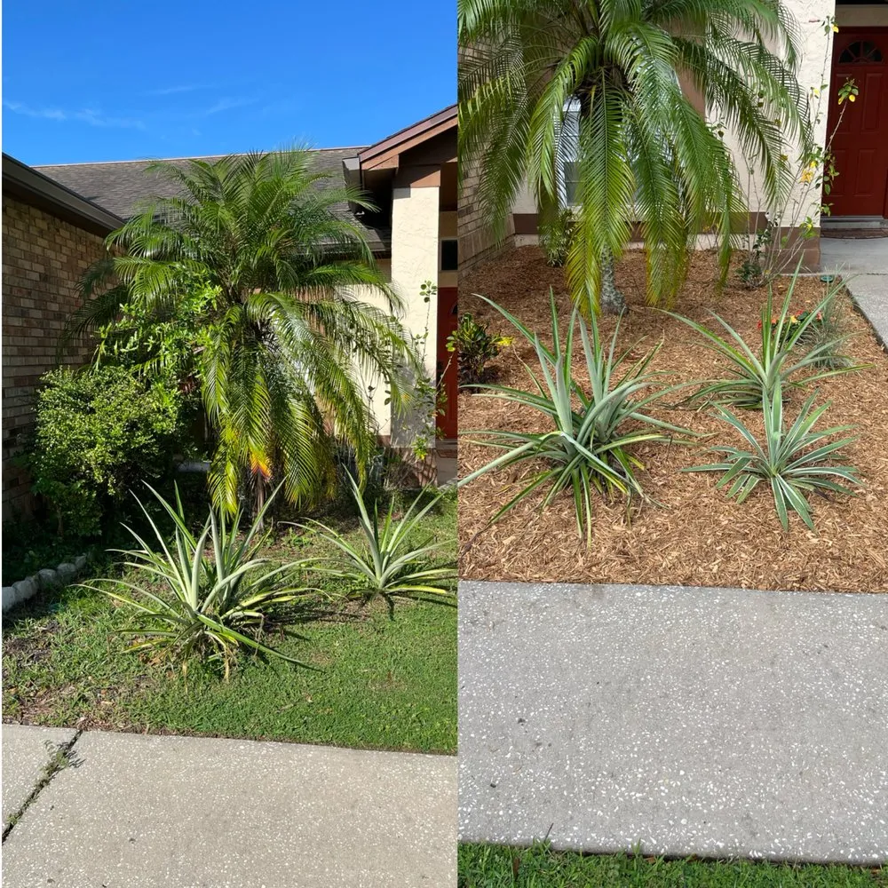 Expert landscape design near you in Brandon, FL by Stem And Stone Landscaping