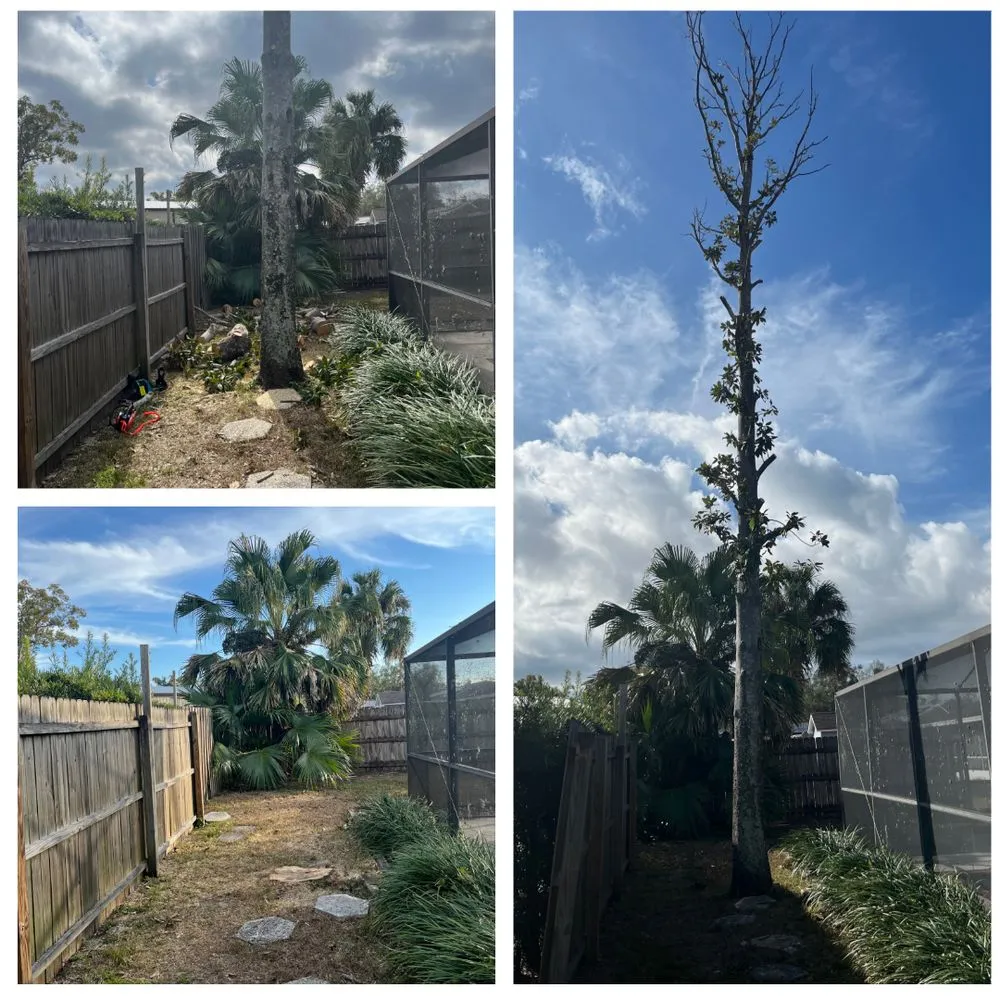 Reliable garden landscaping in Brandon, FL - Stem And Stone Landscaping