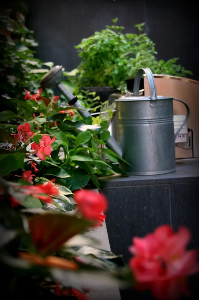 Professional garden landscaping in Denver, CO by Stems Garden Design & Maintenance