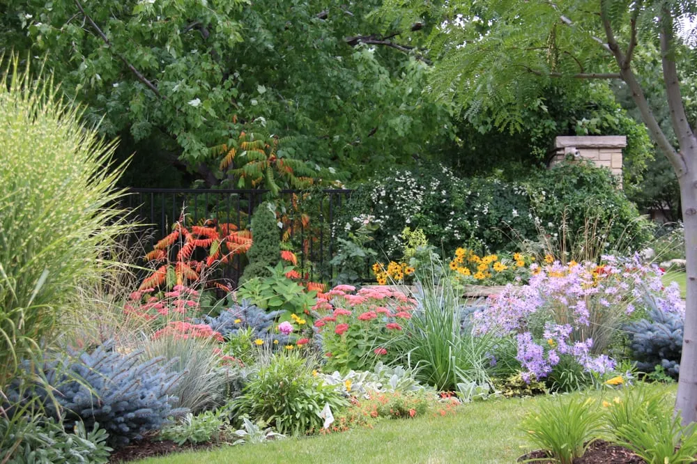 Affordable landscape installation in Denver, CO by Stems Garden Design & Maintenance