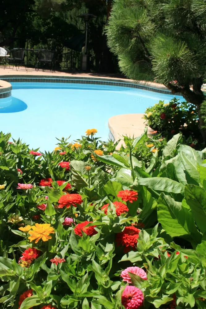 Affordable landscape installation for outdoor upgrades in Denver, CO by Stems Garden Design & Maintenance