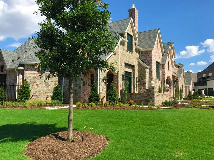 Top-rated yard cleanup service in Lewisville, TX by Stenson Landscaping