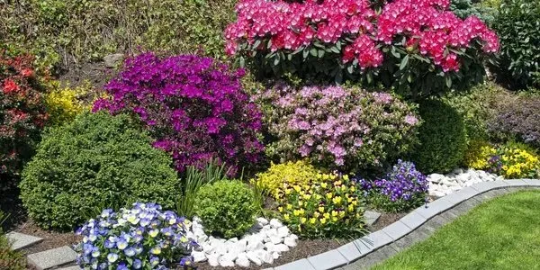 Affordable residential landscaping for beautiful yards across Lewisville, TX - Stenson Landscaping