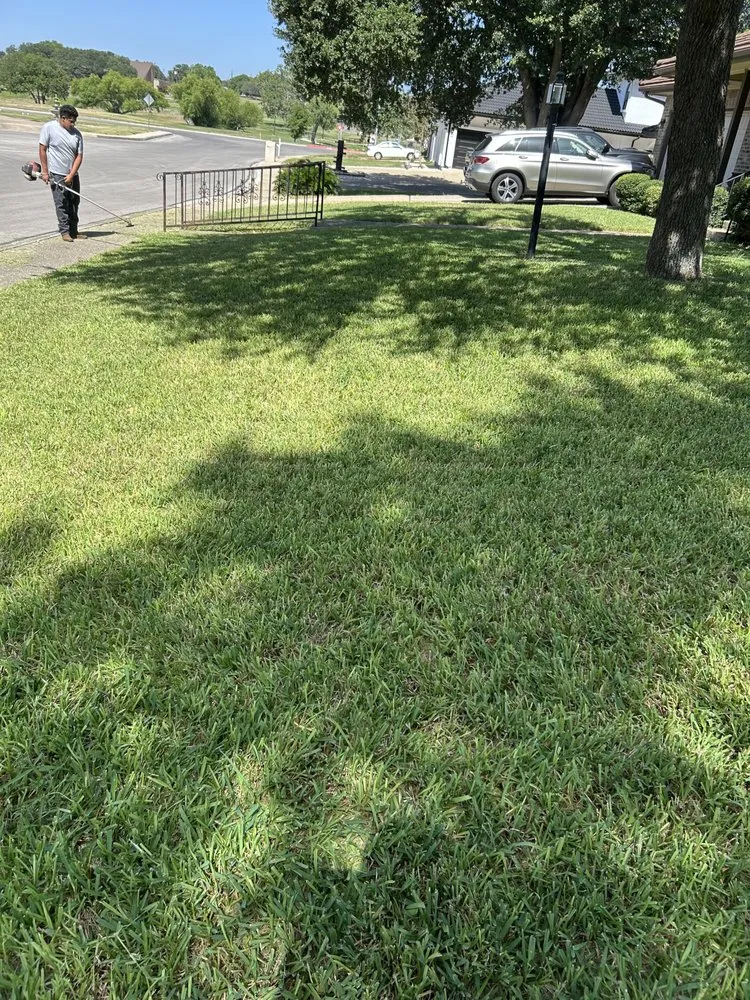 Custom yard maintenance experts serving San Antonio, TX - Stenson Landscaping