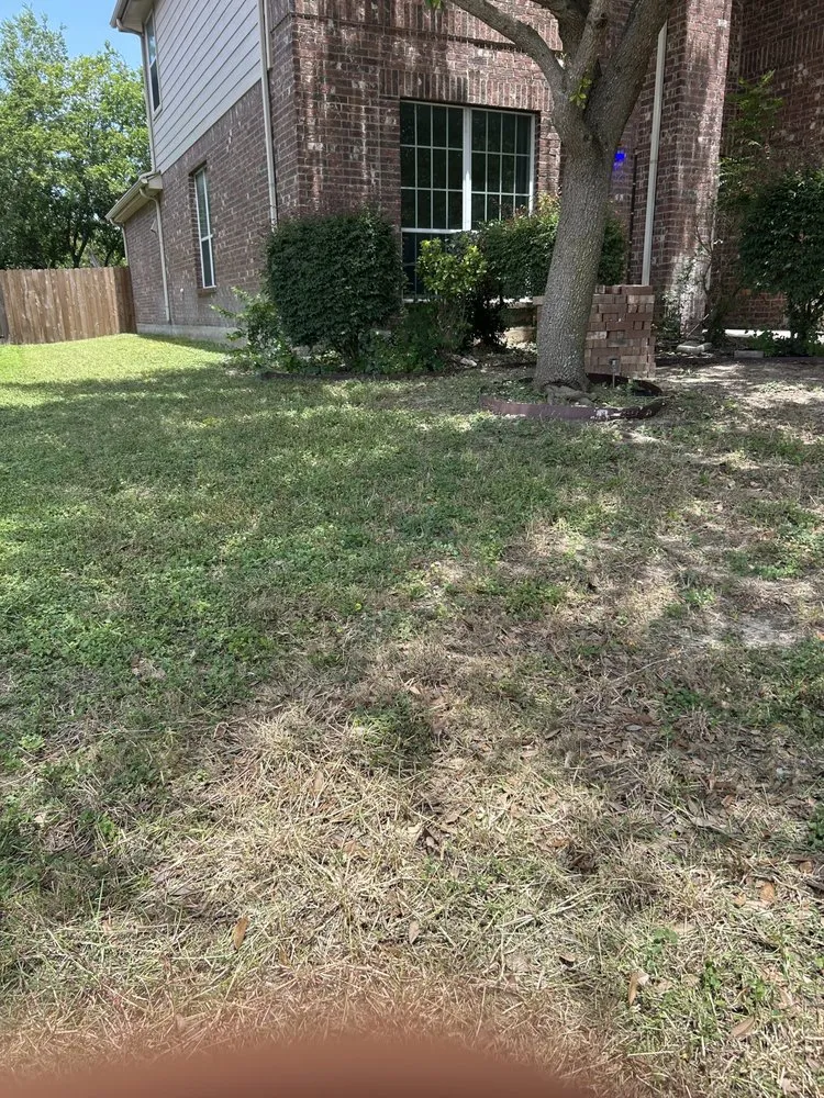 Professional yard cleanup service in San Antonio, TX - Stenson Landscaping