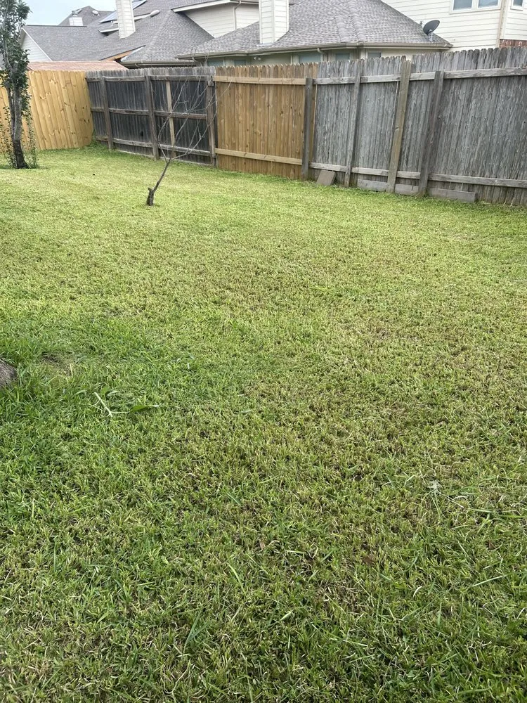 Trusted landscape installation in San Antonio, TX by Stenson Landscaping