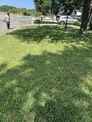 Stenson Landscaping Logo