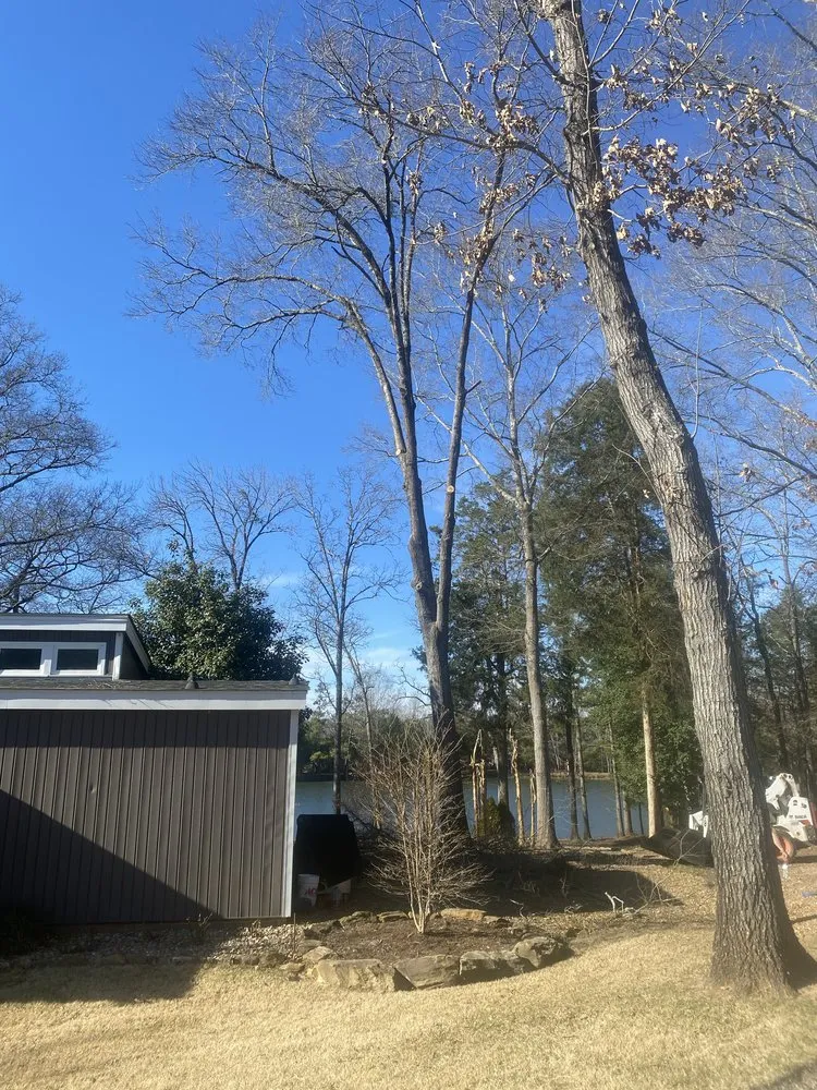 Trusted landscape design in Anderson, SC - Step Above Complete Tree Services