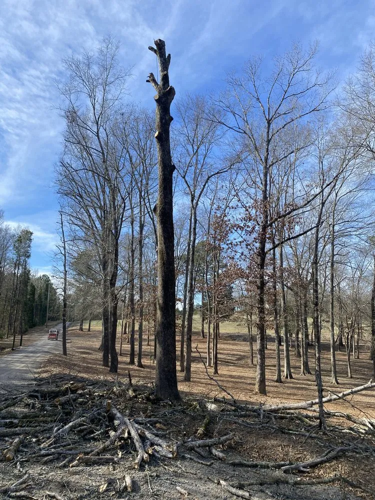 Reliable landscape installation for year-round maintenance across Anderson, SC - Step Above Complete Tree Services