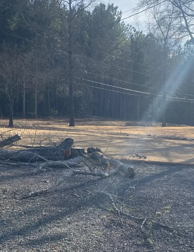 Local lawn mowing service experts serving Anderson, SC - Step Above Complete Tree Services