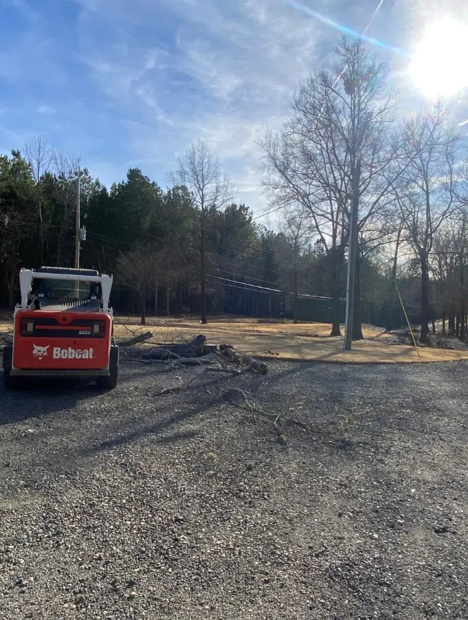 Expert residential landscaping in Anderson, SC - Step Above Complete Tree Services