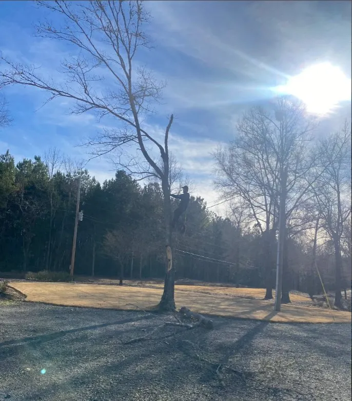 Custom landscape installation for residential properties in Anderson, SC by Step Above Complete Tree Services