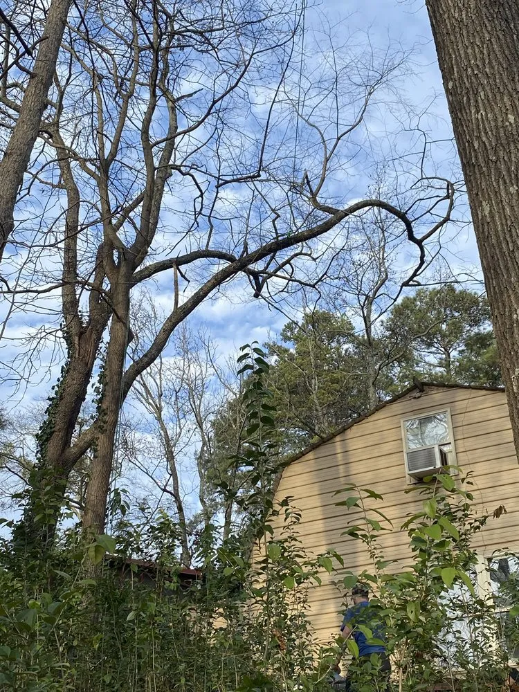 Professional garden landscaping experts serving Anderson, SC - Step Above Complete Tree Services