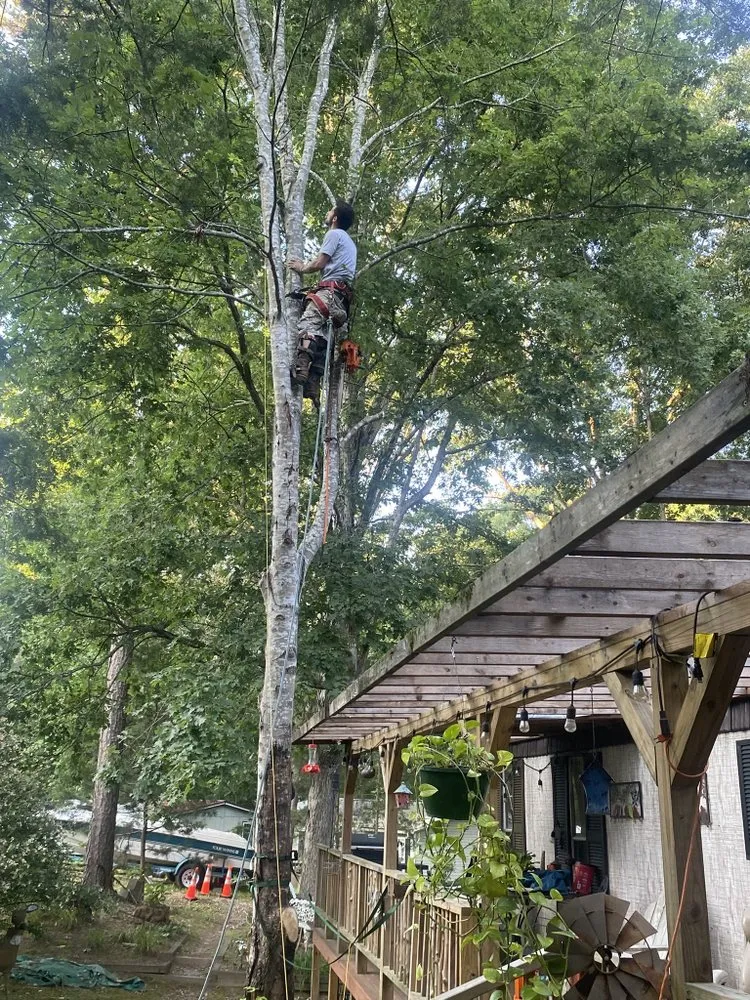 Top-rated landscape installation for residential properties in Anderson, SC by Step Above Complete Tree Services