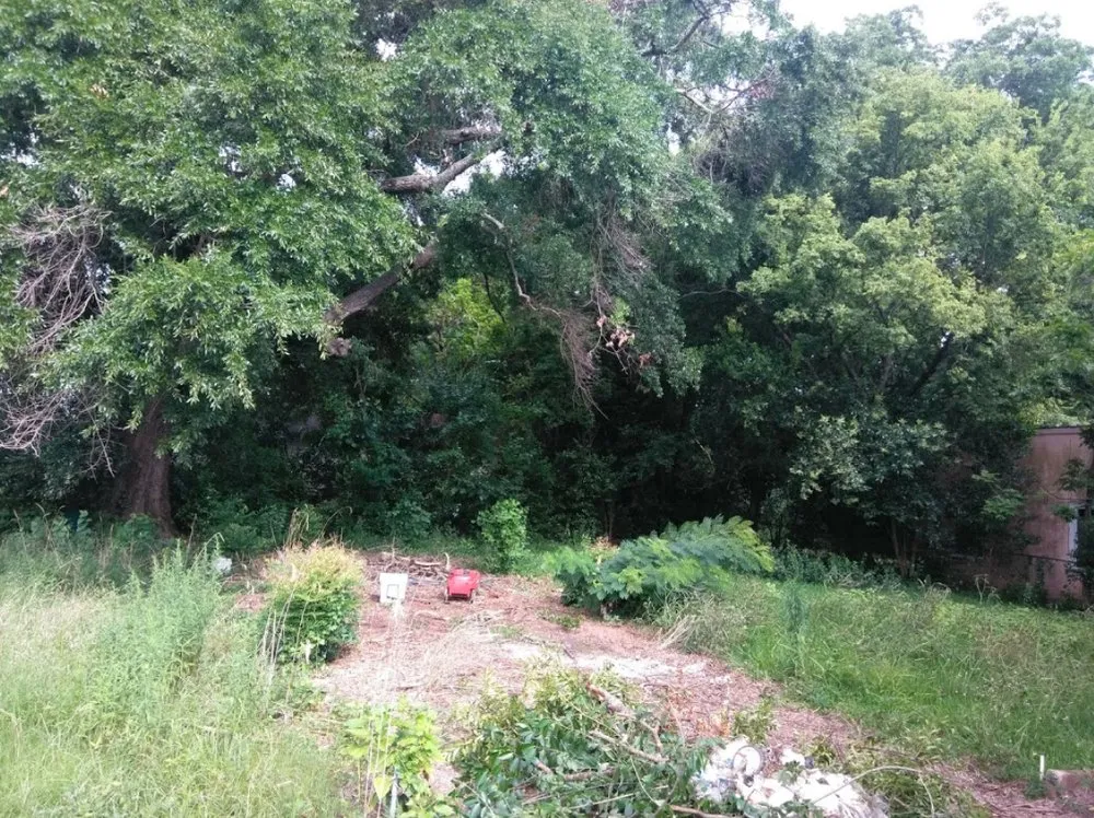 Top-rated garden landscaping experts serving Columbus, GA - Step Above Creationz