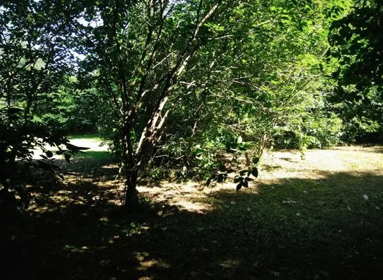 Step Above Creationz Logo