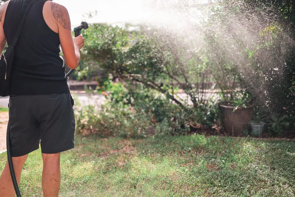 Expert landscape design experts serving Austin, TX - Step Bros Cleaning & Services