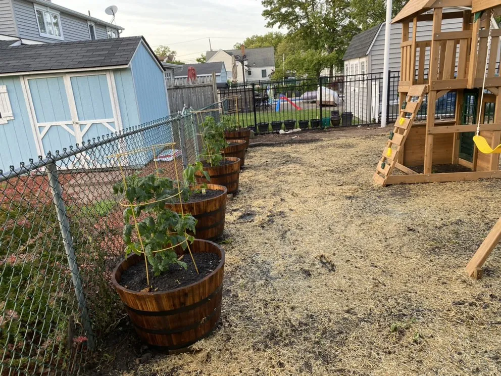 Local yard maintenance with custom design across Caldwell, NJ - Step by Step Green Landscaping