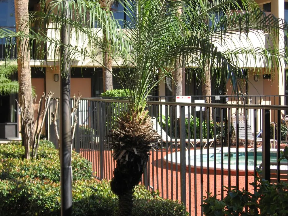 Reliable lawn care service for outdoor upgrades in Casselberry, FL by Step By Step Landscape Management