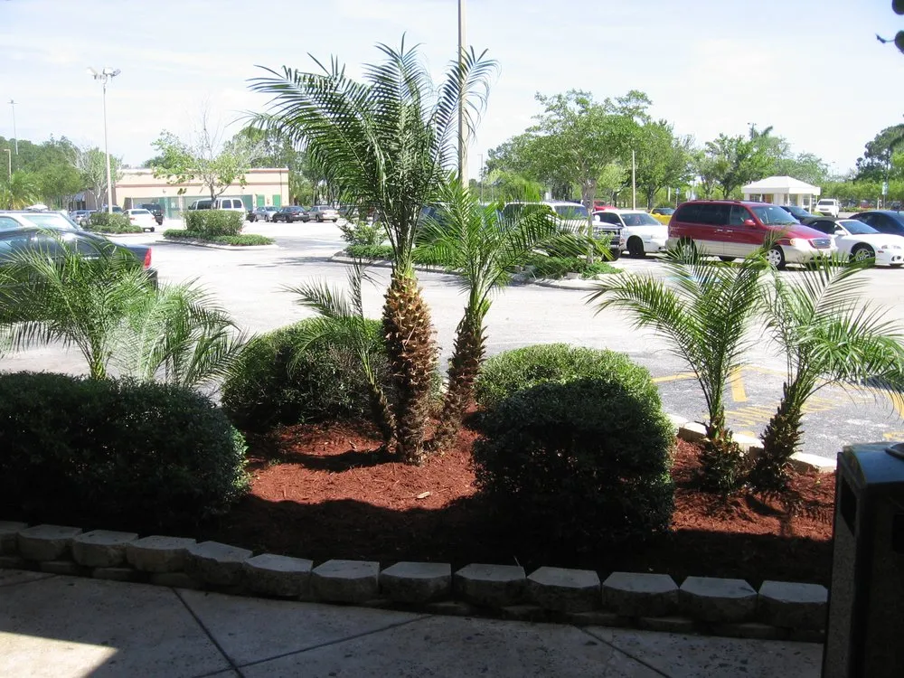 Affordable outdoor landscaping in Casselberry, FL - Step By Step Landscape Management