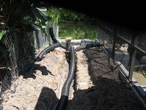 Local outdoor landscaping for beautiful yards across Casselberry, FL - Step By Step Landscape Management