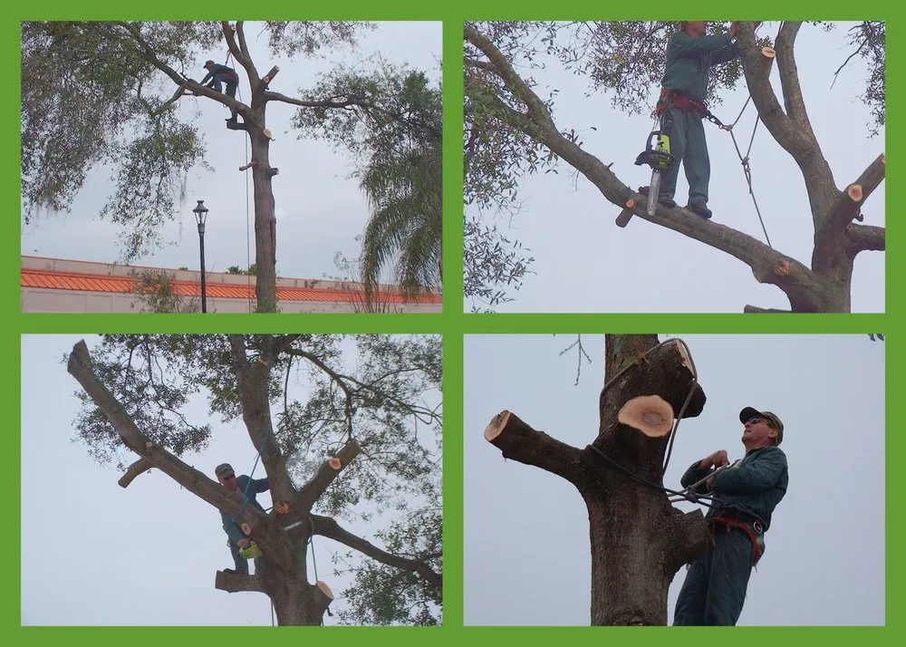 Affordable residential landscaping experts serving Casselberry, FL - Step By Step Landscape Management