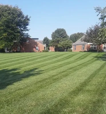 Step By Step Lawncare Logo