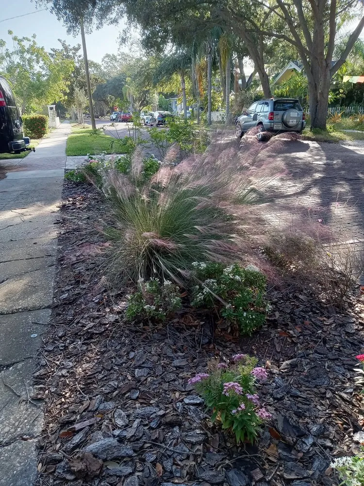 Expert garden landscaping in St. Petersburg, FL by Step By Step Native Landscaping
