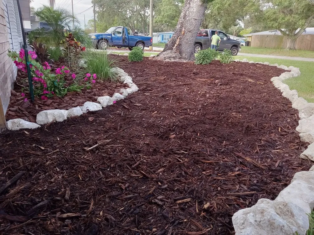 Professional yard cleanup service experts serving St. Petersburg, FL - Step By Step Native Landscaping