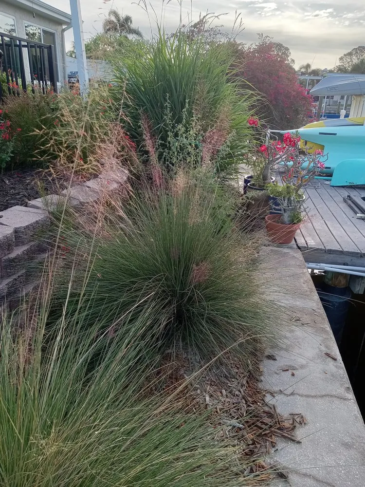 Trusted garden landscaping in St. Petersburg, FL by Step By Step Native Landscaping