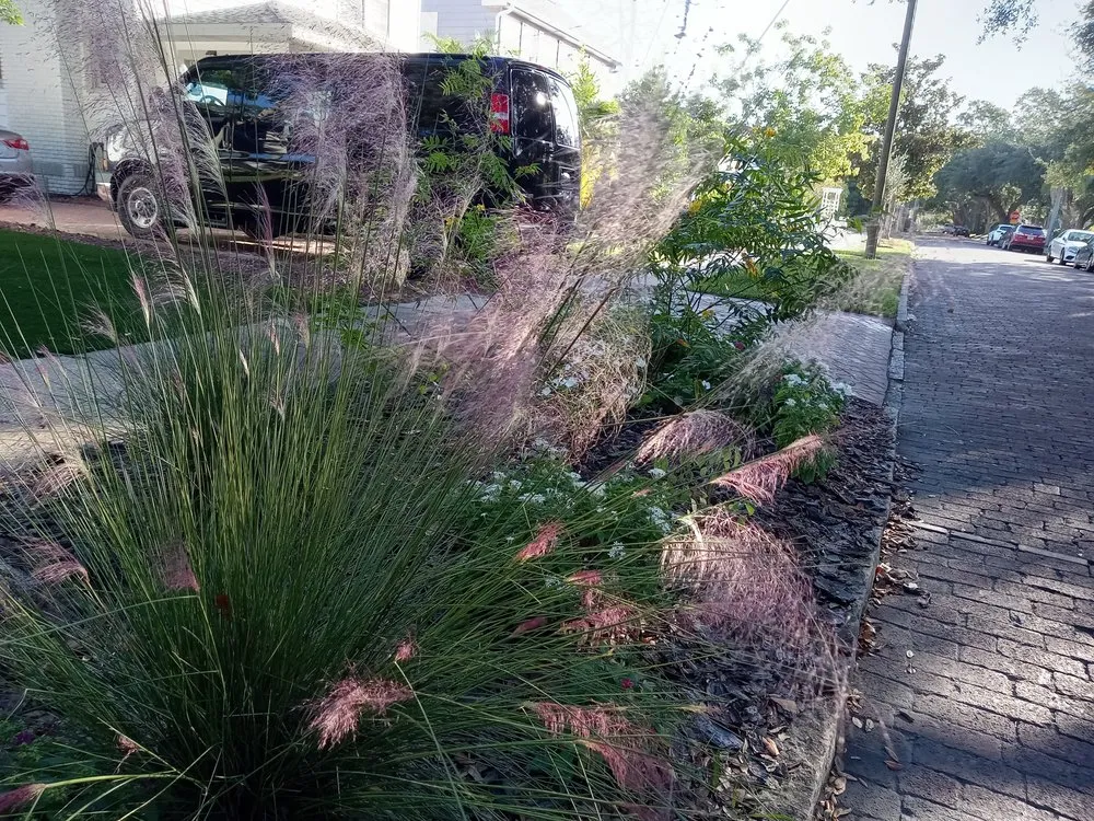 Local garden landscaping in St. Petersburg, FL - Step By Step Native Landscaping