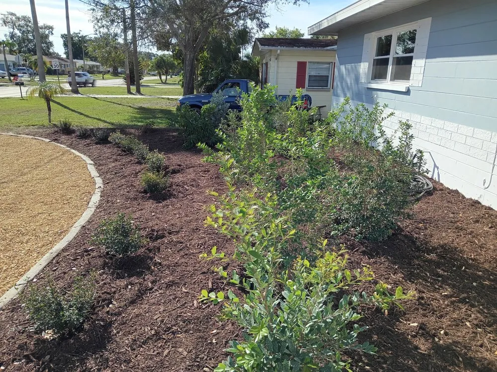 Affordable outdoor landscaping in St. Petersburg, FL by Step By Step Native Landscaping