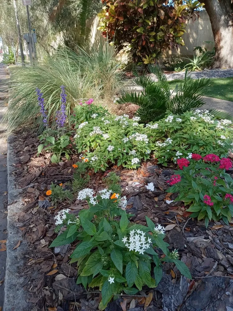Trusted landscape installation in St. Petersburg, FL by Step By Step Native Landscaping